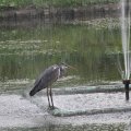 IMG_924820