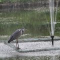 IMG_924821