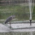 IMG_924822