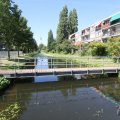 IMG_924698