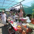IMG_924760