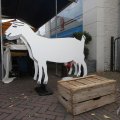 IMG_932166