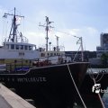 00491i2012