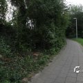 IMG_932308