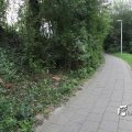 IMG_932309