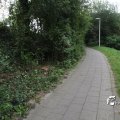 IMG_932310