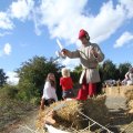 IMG_933778