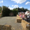 IMG_933781