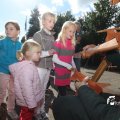 IMG_933796