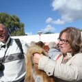 IMG_933844
