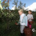 IMG_933950