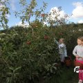 IMG_933952