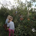 IMG_933954