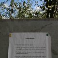 IMG_933965