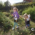 IMG_933972