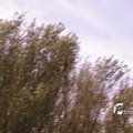 03989i2012