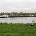 IMG_940382
