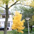 IMG_940395
