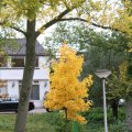 IMG_940396