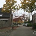 IMG_940410