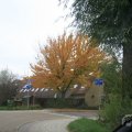 IMG_940411