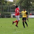 IMG_940237