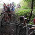 IMG_939176