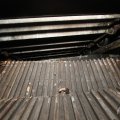 IMG_0445