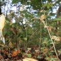 IMG_942562