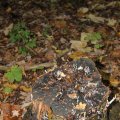 IMG_942614