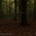 IMG_942631