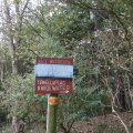 IMG_942637