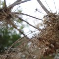 IMG_942641