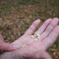 IMG_942642