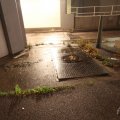 IMG_943208