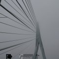 IMG_944243