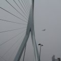IMG_944245