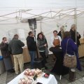 IMG_946137