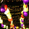 IMG_948885