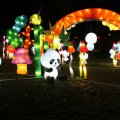 IMG_948925