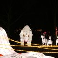 IMG_949016