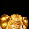 IMG_949029