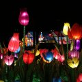 IMG_949080