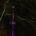 IMG_949481