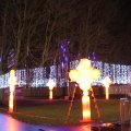 IMG_949482