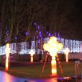 IMG_949483