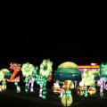 IMG_949509