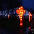 IMG_949837