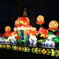 IMG_949843