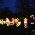 IMG_949874
